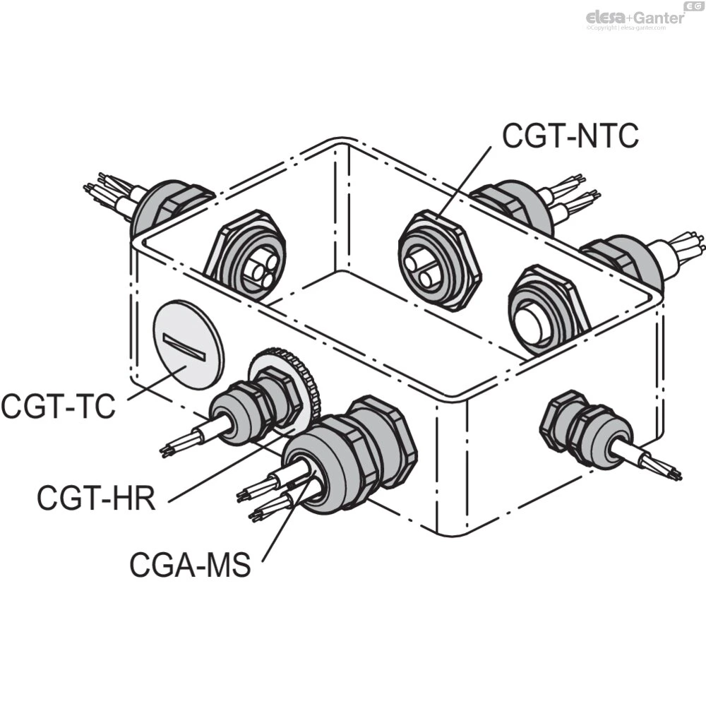 Чертёж CGT-NPT