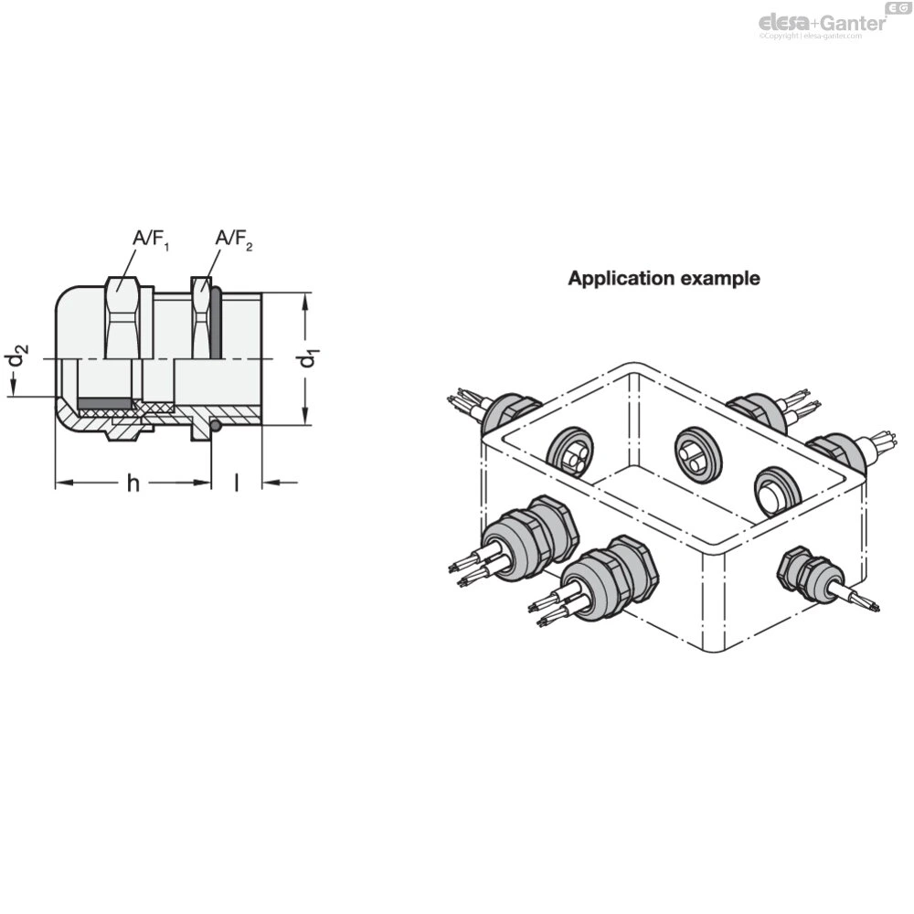 Чертёж GN 62444-NPT-MS