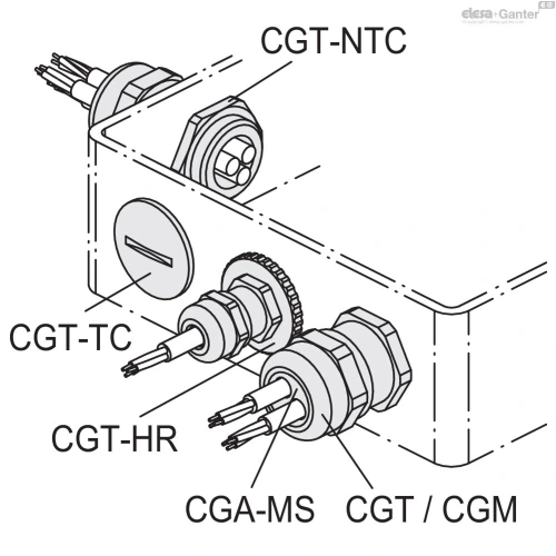 Схема CGA-MS