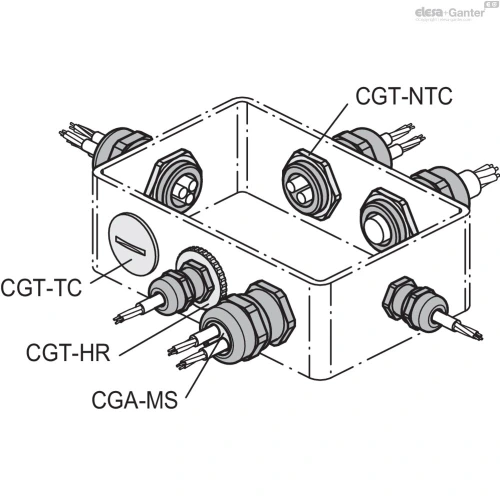 Схема CGT-PG