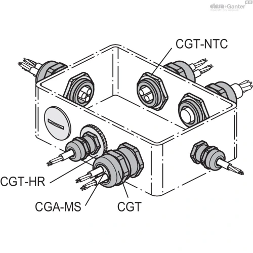 Схема CGT-TC-PG-AV