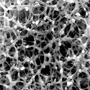7404_Membranequerschnitt