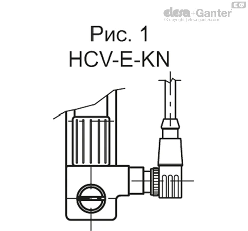 HCV_E_FIG1_RU