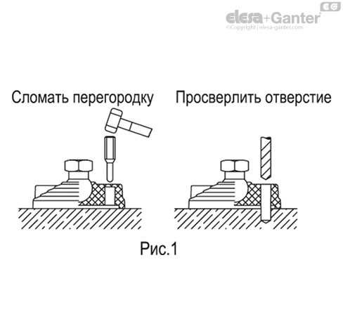LV_F_FIG1_RU
