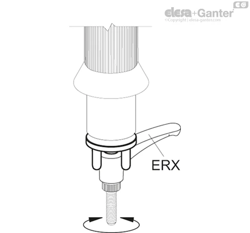 MT_ERX_MONT_EXAMPLE