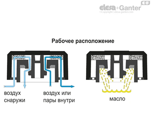 SFF_ACC_FUNZ_RU