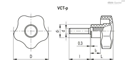 Схема VCT-p